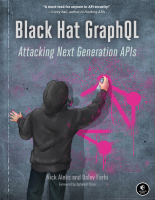 Black Hat GraphQL.epub